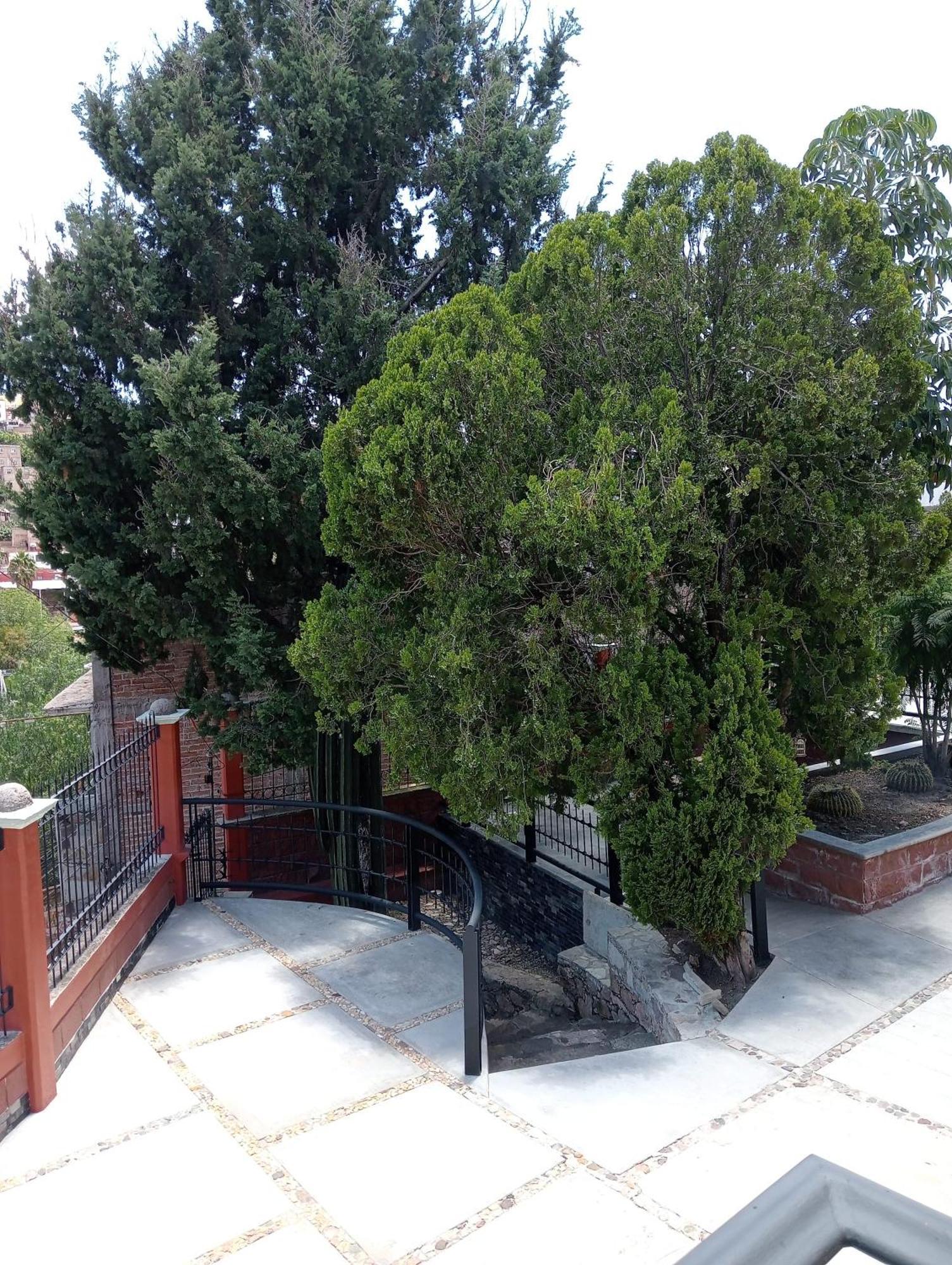 Quinta Mercedes Guanajuato Dış mekan fotoğraf